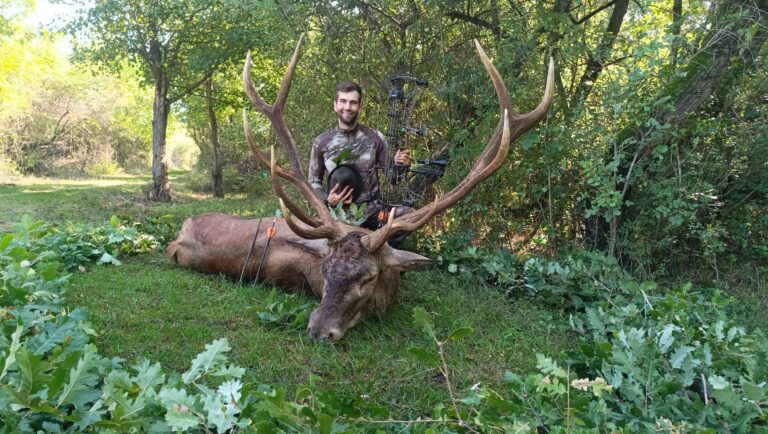 1758023339928_kisebb